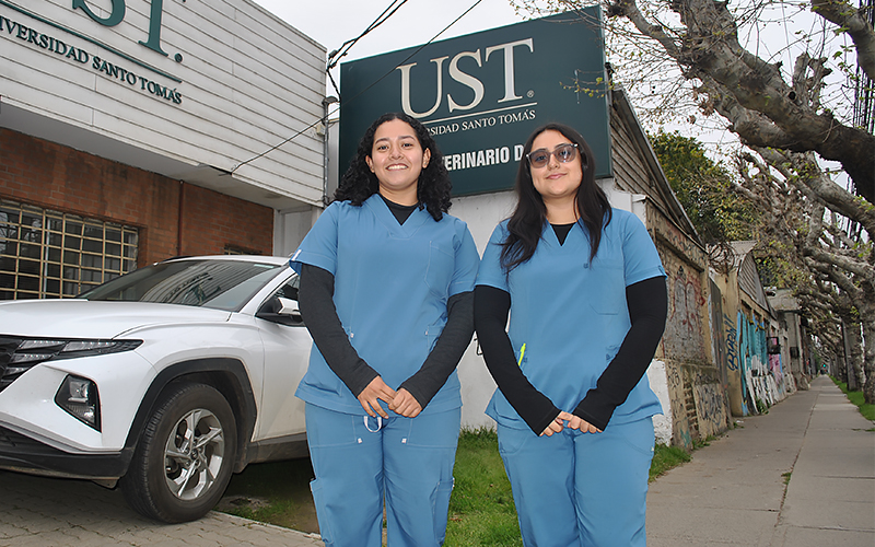 Estudiantes colombianas en Viña del Mar: “En el hospital veterinario estamos trabajando como profesionales”