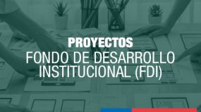 Proyectos FDI