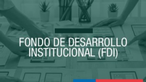 Fondos de Desarrollo Institucional (FDI)